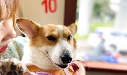 新瓜最新爆料搞笑,笑料连连，揭秘娱乐圈那些不为人知的趣事